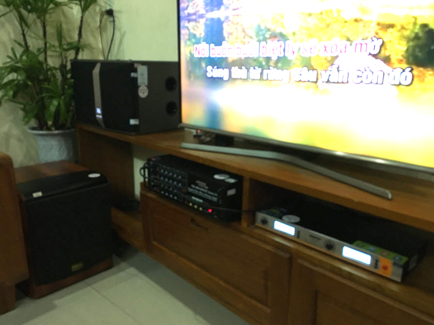 dan-karaoke-gia-dinh-tai-son-tra-da-nang-h10