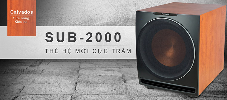 Loa sub trầm Paramax
